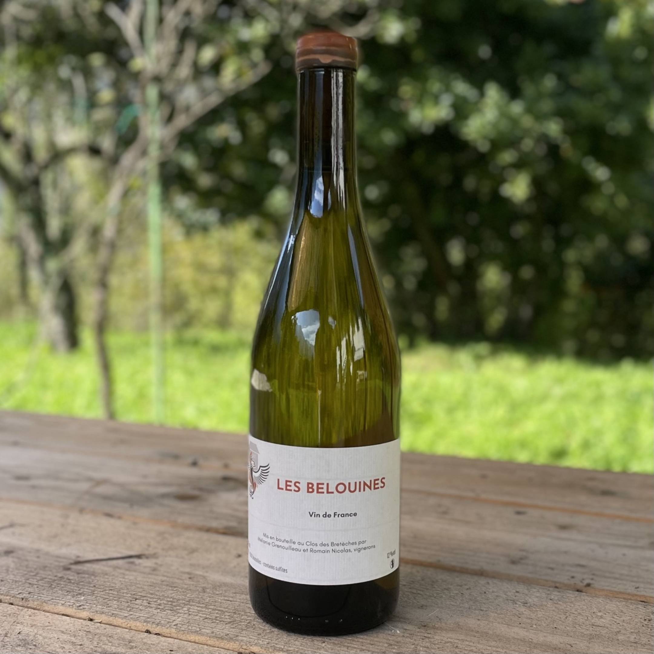 Clos des Breteches Clos des Breteches Les Belouines