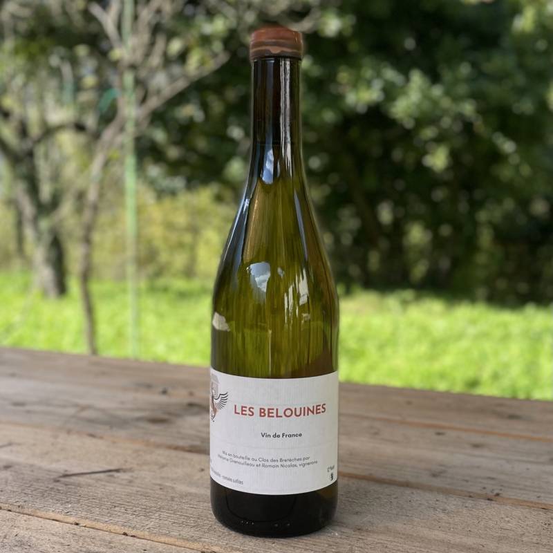 Clos des Breteches Les Belouines