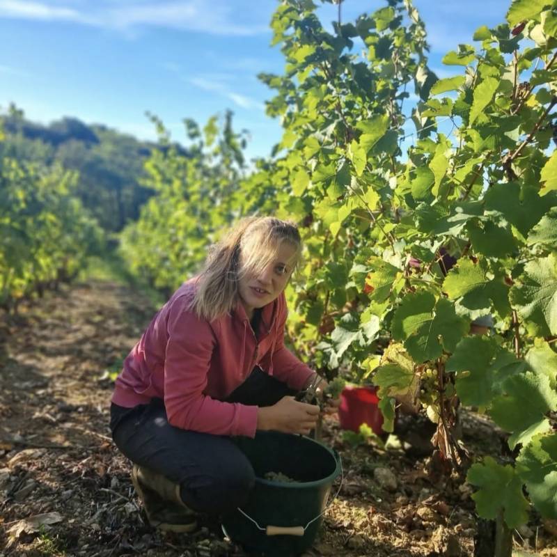 Clos des Breteches Clos des Breteches Les Belouines