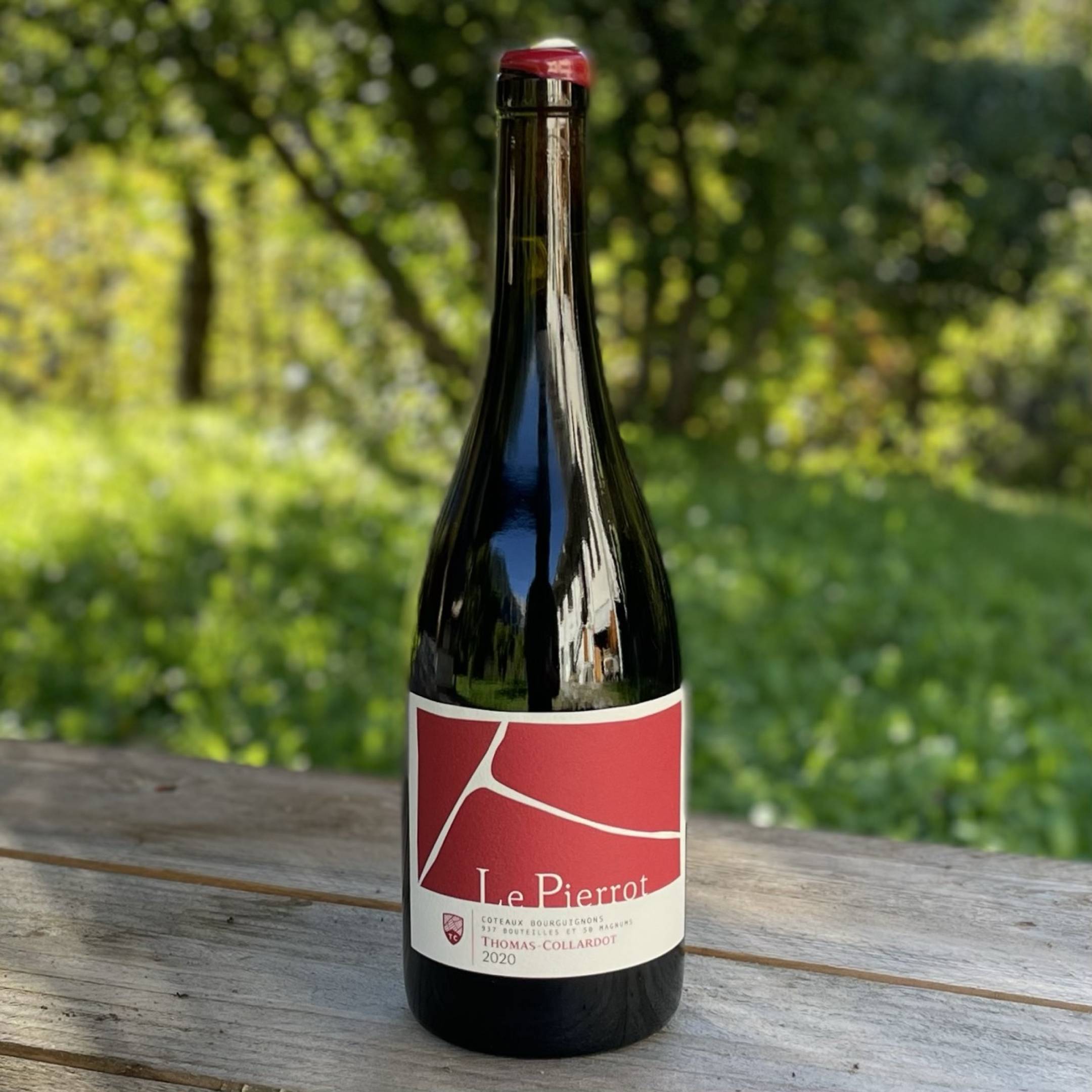 Thomas Collardot Coteaux Bourguignon Le Pierrots