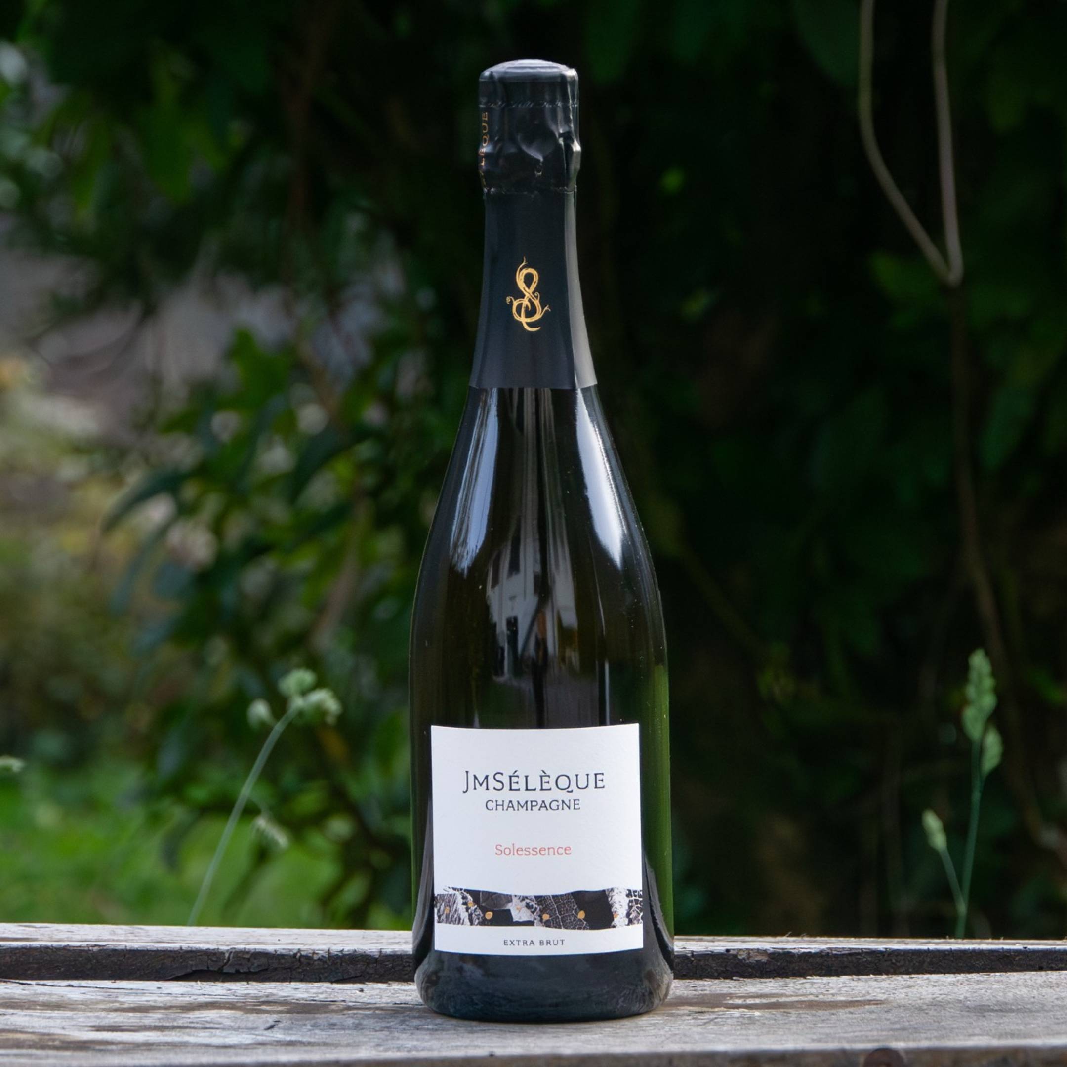 J-M Seleque Champagne Solessence Extra Brut