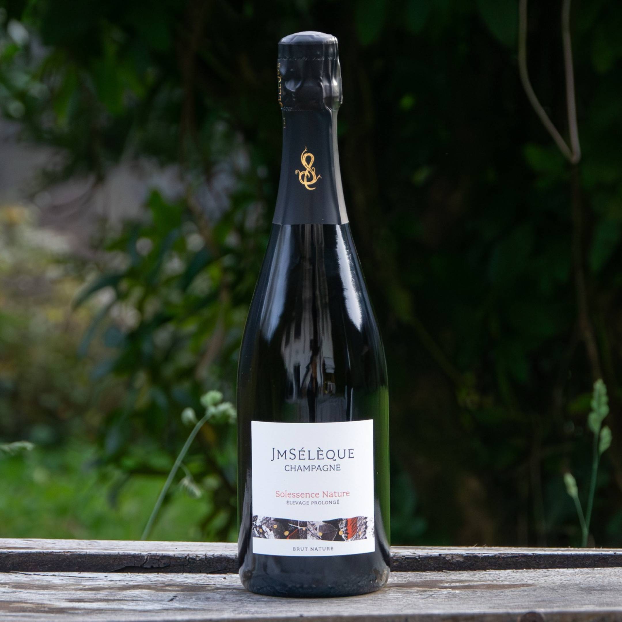 J-M Seleque Champagne Solessence Nature
