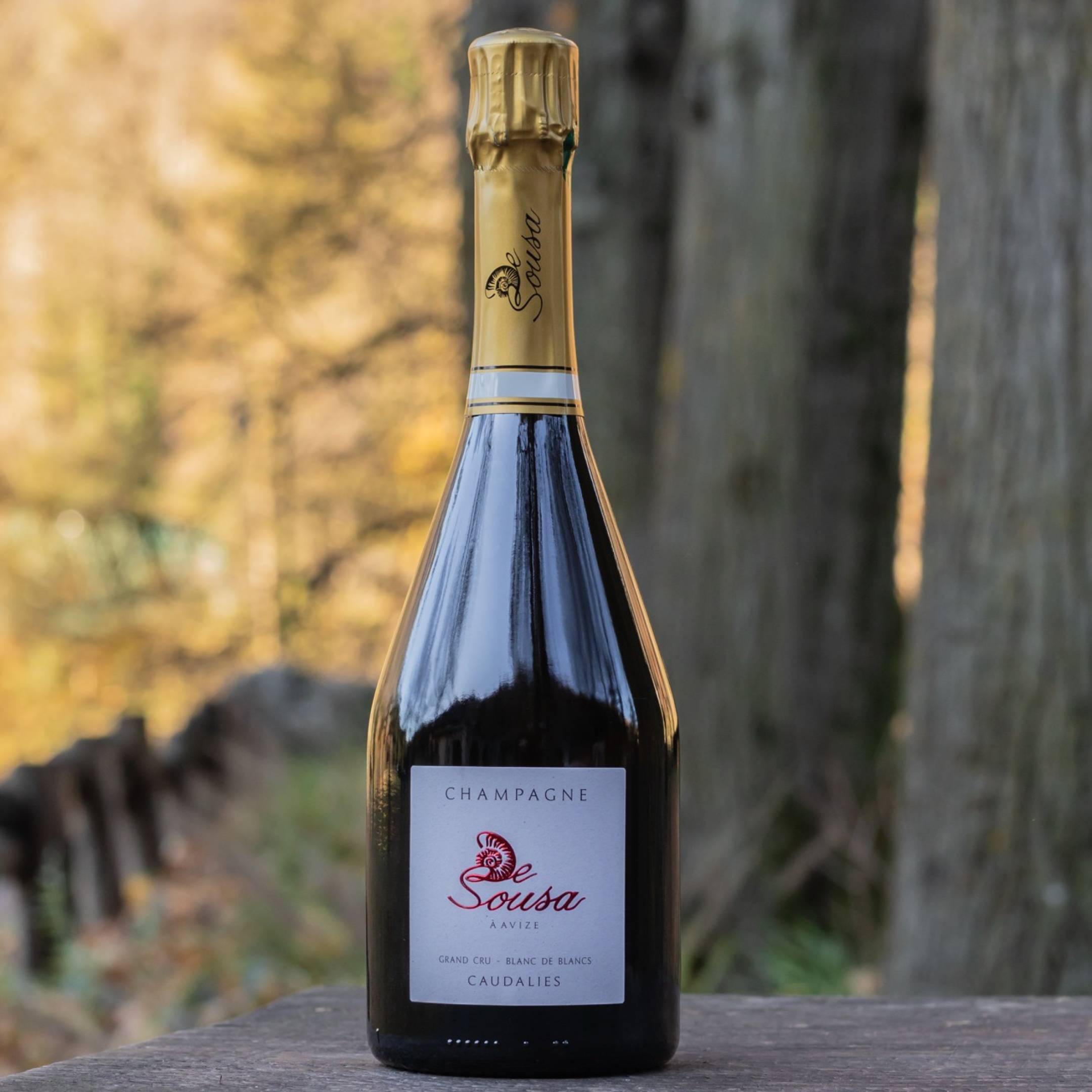 De Sousa Champagne Cuvee des Caudalies Blanc de Blancs