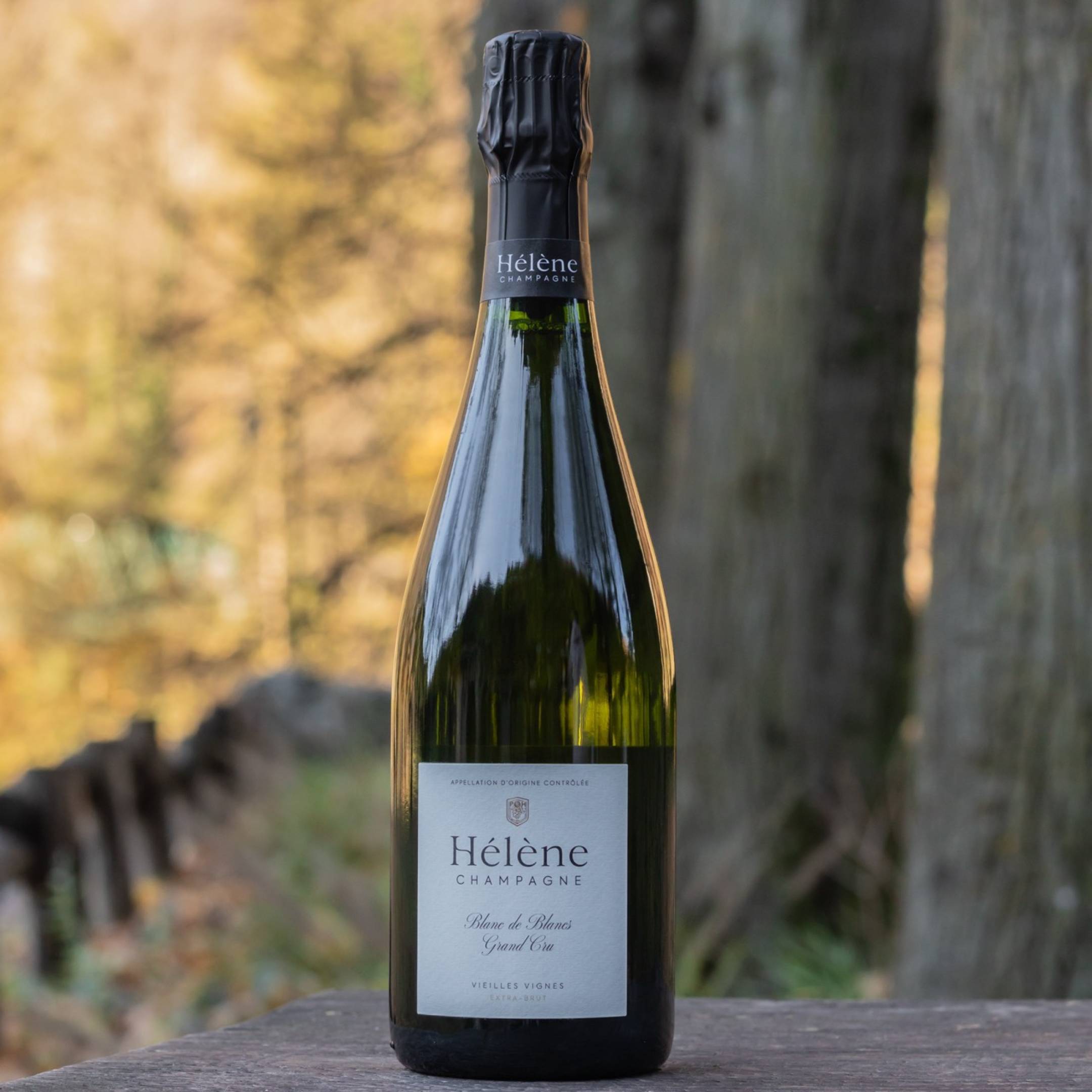 Domaine d'Helene Champagne Blanc de Blancs vieilles vignes Grand Cru