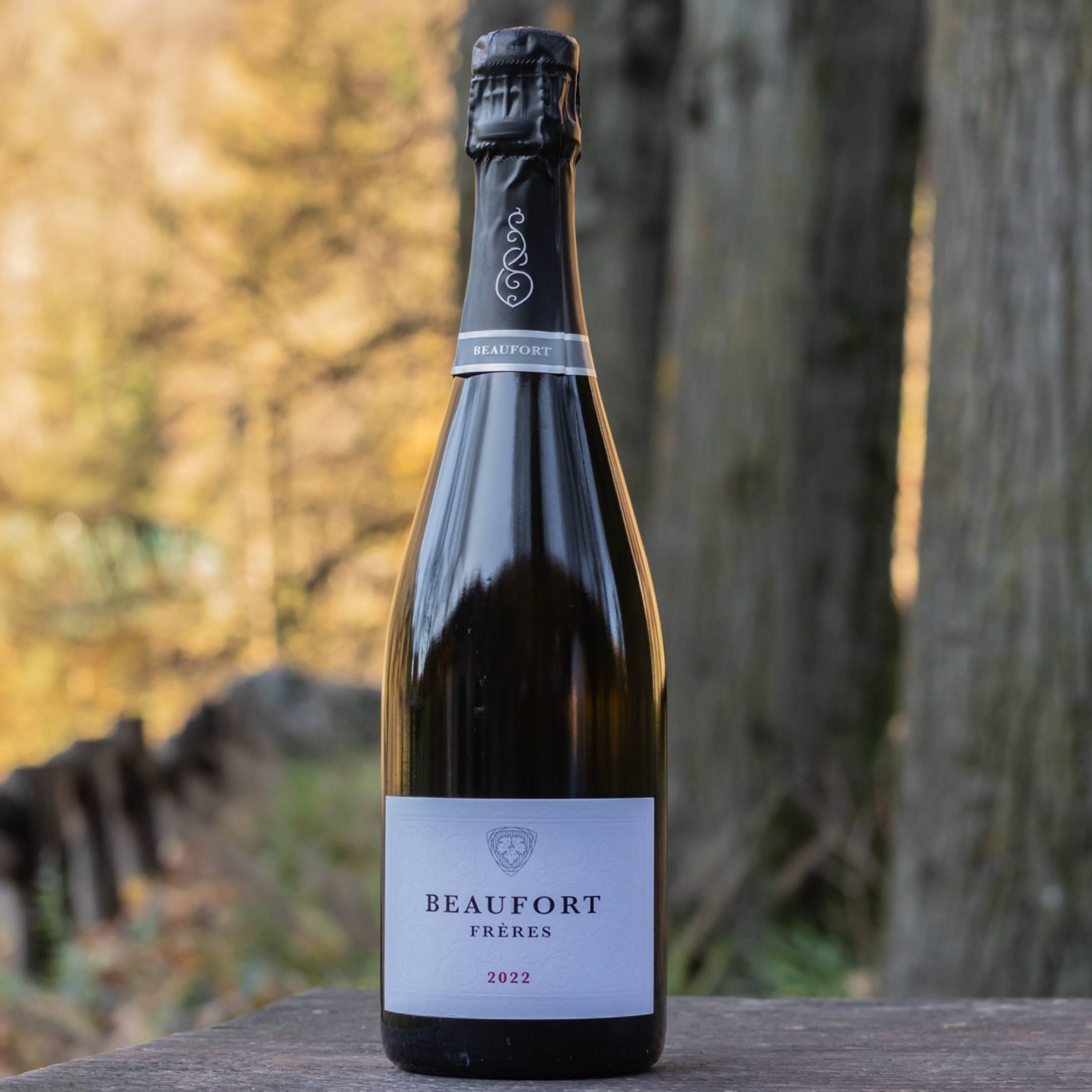 Beaufort Freres Beaufort Mosseux 2022 Blanc