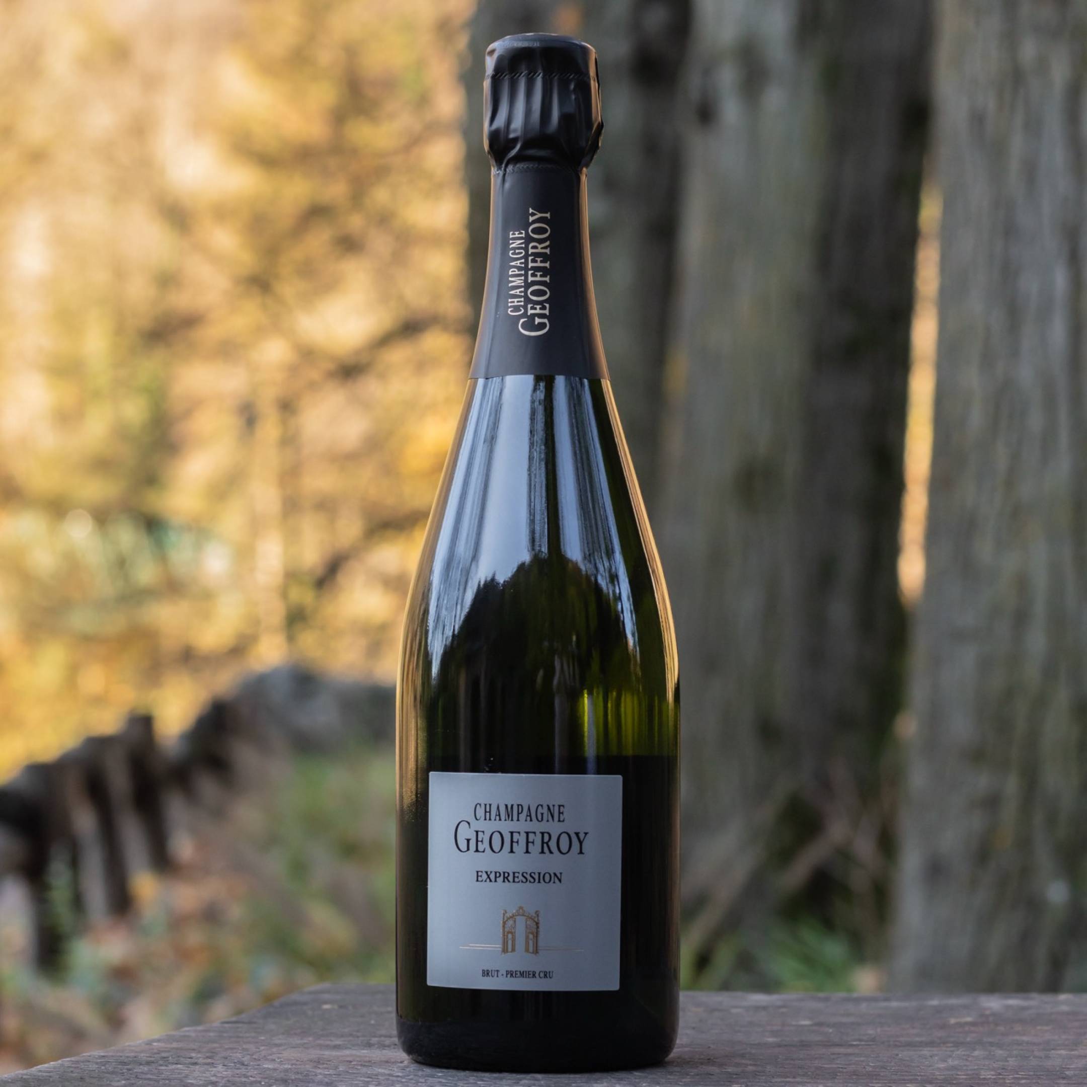 Rene Geoffroy Champagne Expression Brut 1er Cru