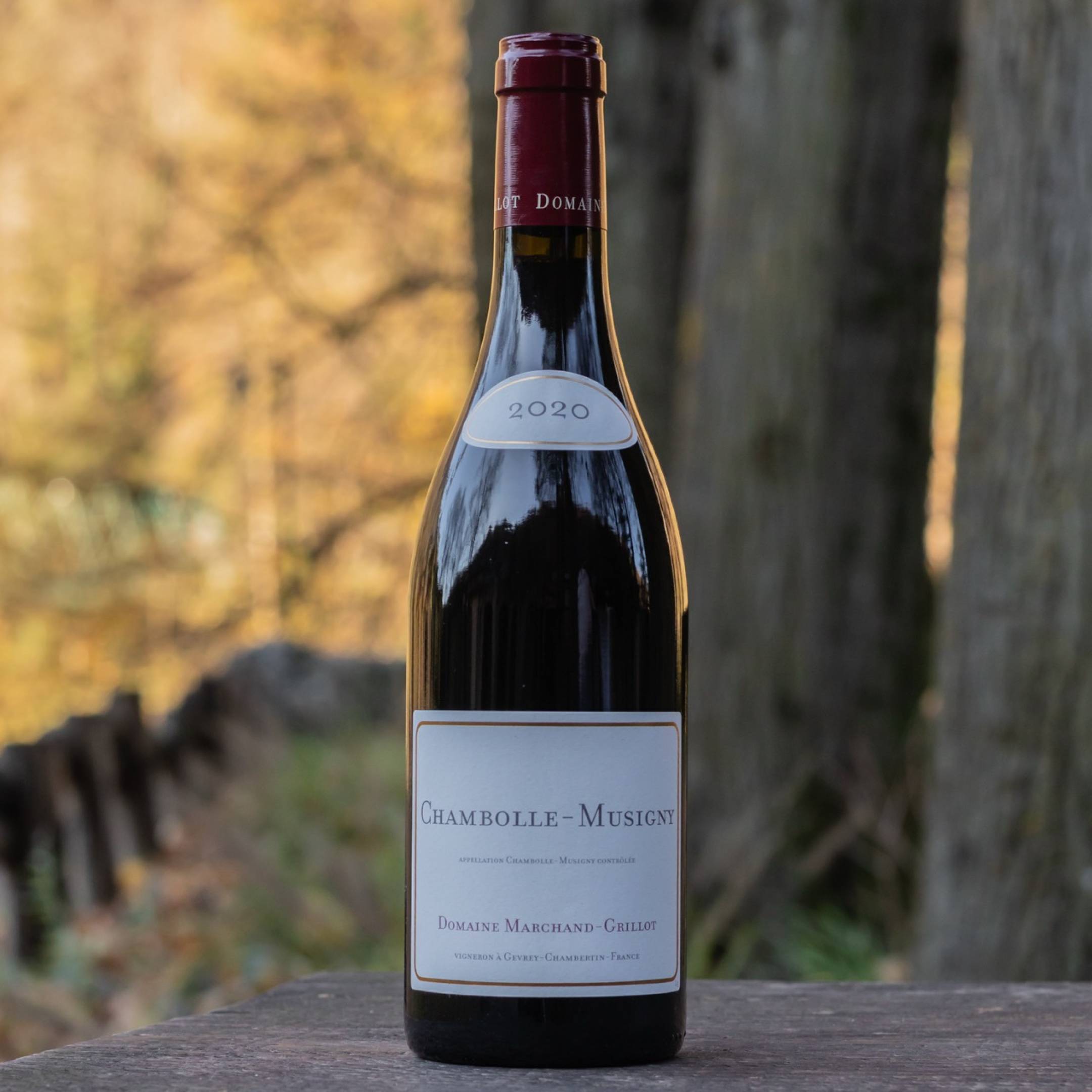 Domaine Marchand-Grillot Chambolle Musigny 2020