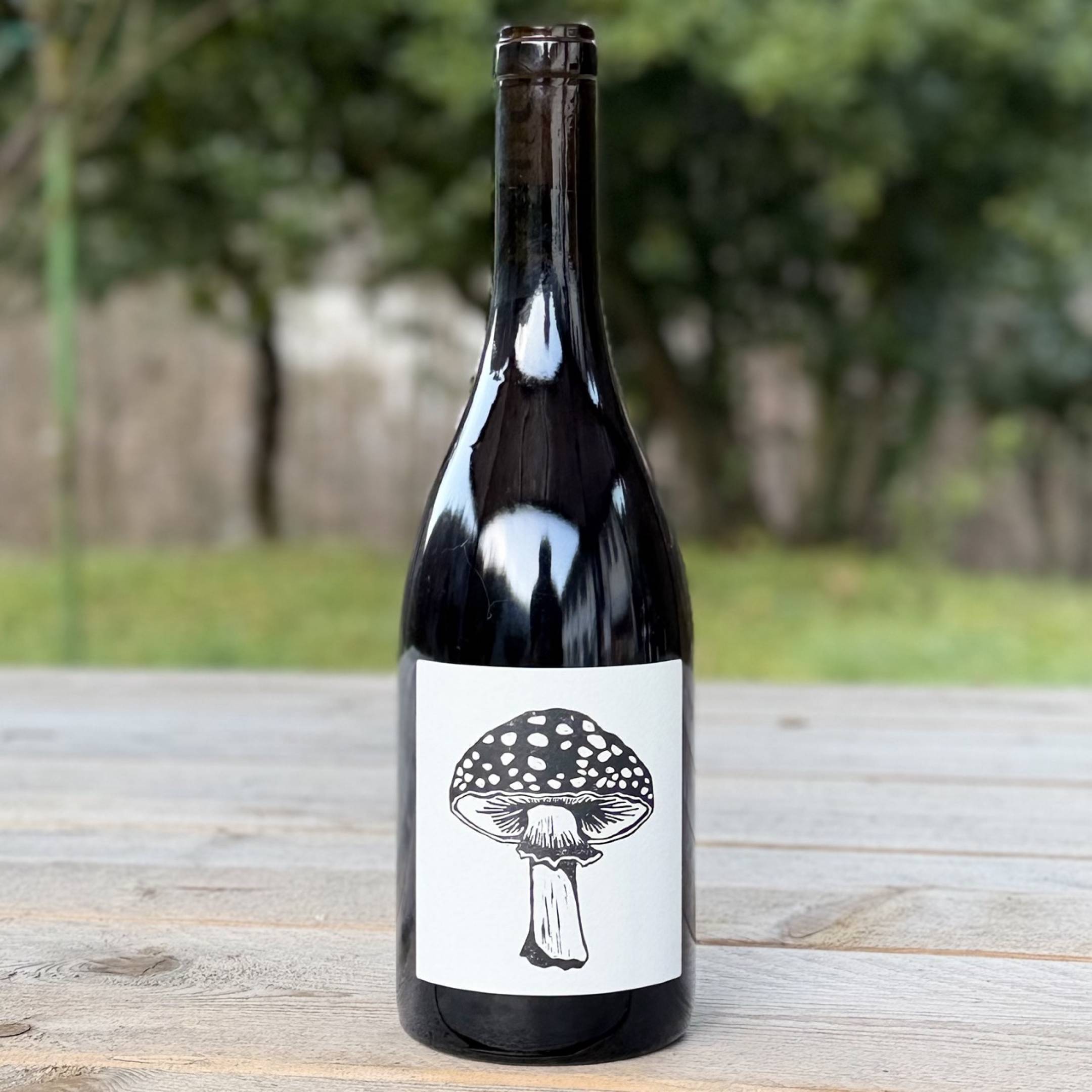 Vin Noé Good Karma