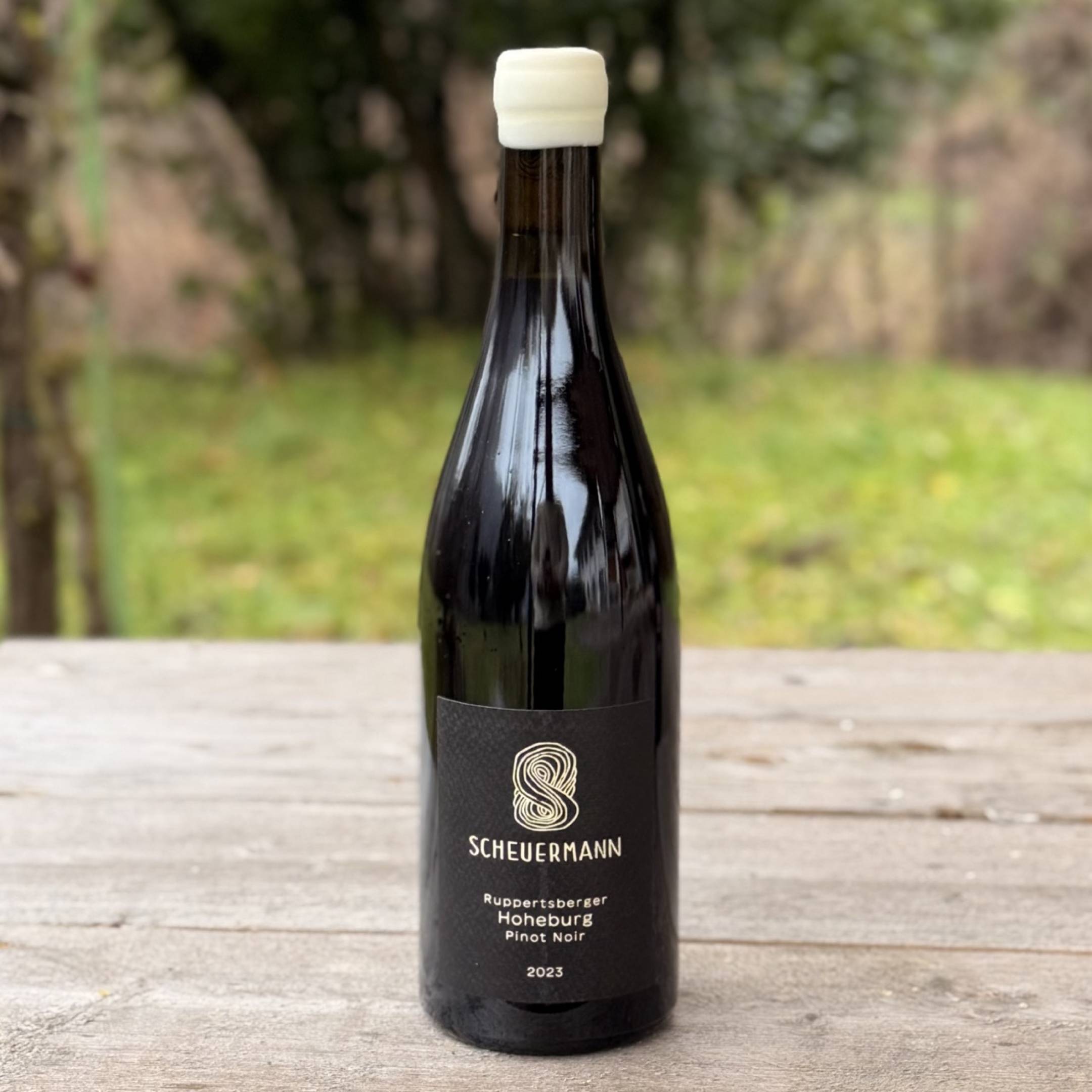 Scheuermann Ruppertsberger Hoheburg Pinot Noir 2023