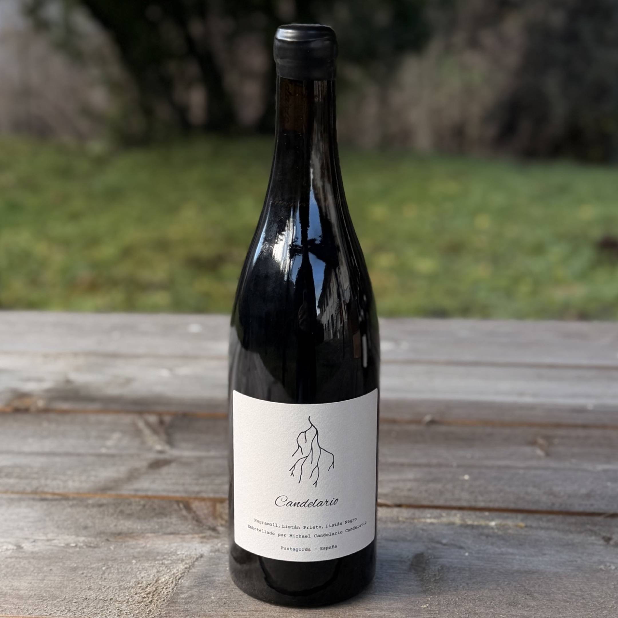 Bodega Candelario Vino Tinto 2024