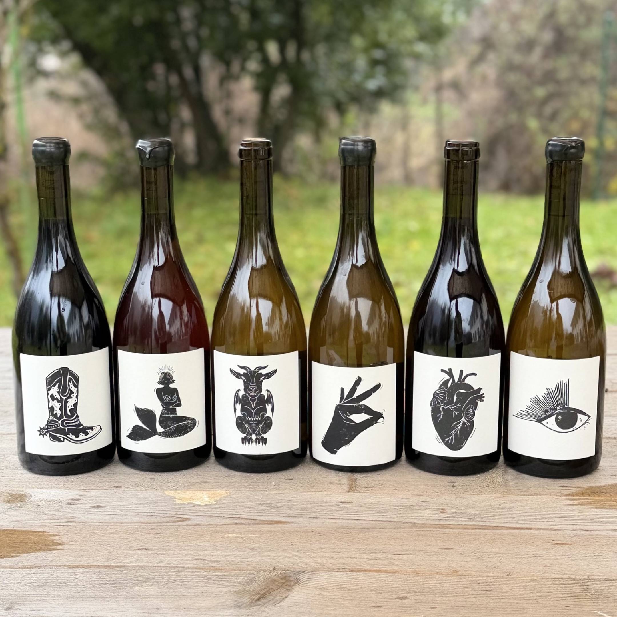 Vin Noé: Le belle persone portano belle persone.