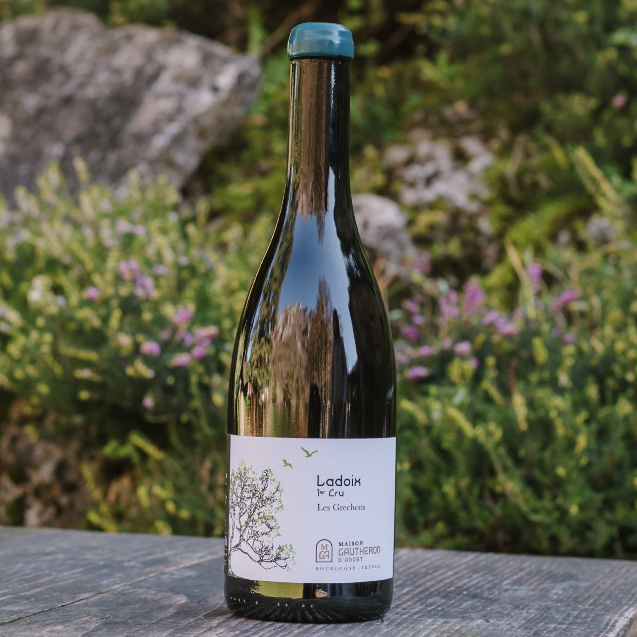 Gautheron d'Anost Ladoix 1er Cru Les Grechons