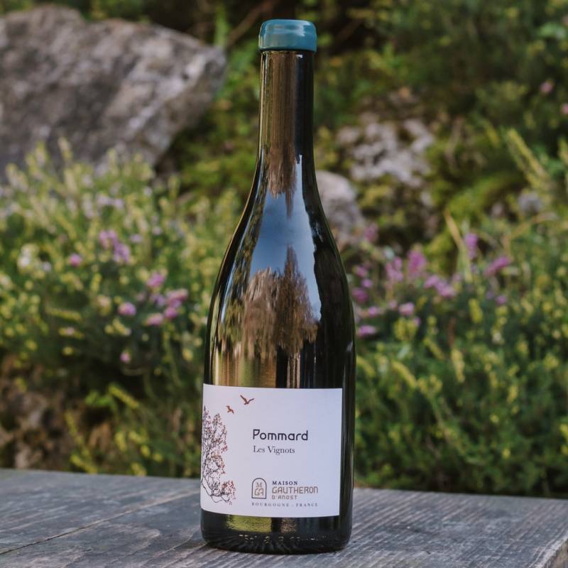 Pommard Les Vignots