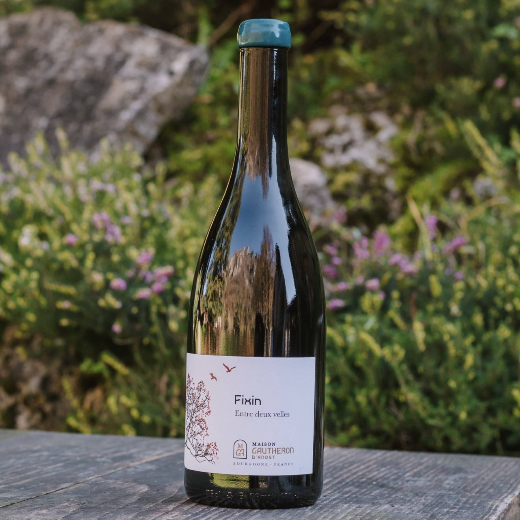 Gautheron d'Anost Fixin Entre deux Velles