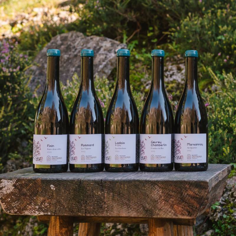 Gautheron d'Anost Gevrey Chambertin Combe du Bas