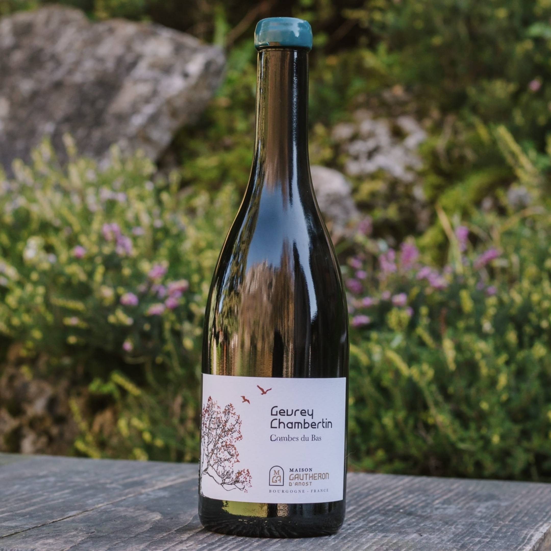 Gautheron d'Anost: new entry distribuzione Wild Vigneron