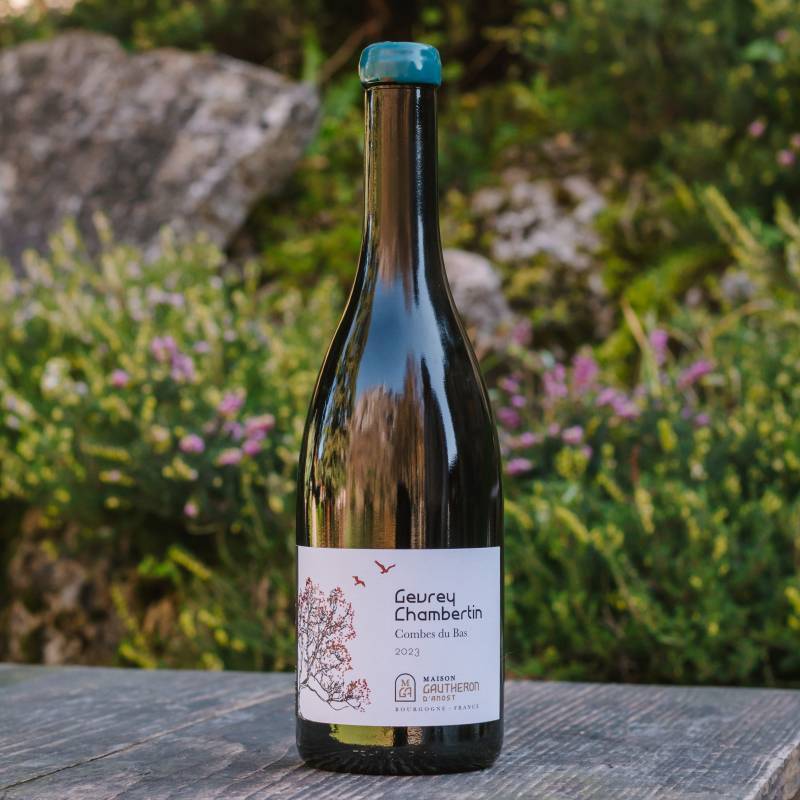 Gevrey Chambertin Combe du Bas