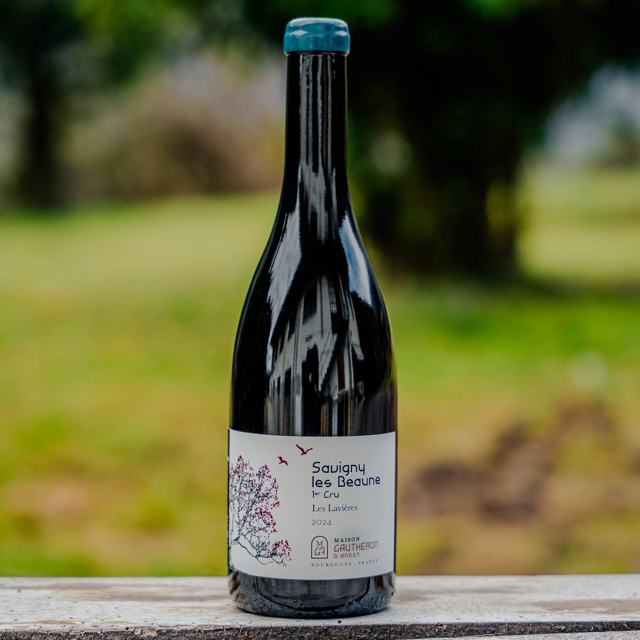 Gautheron d'Anost Savigny les Beaune 1er Cru Les Lavieres