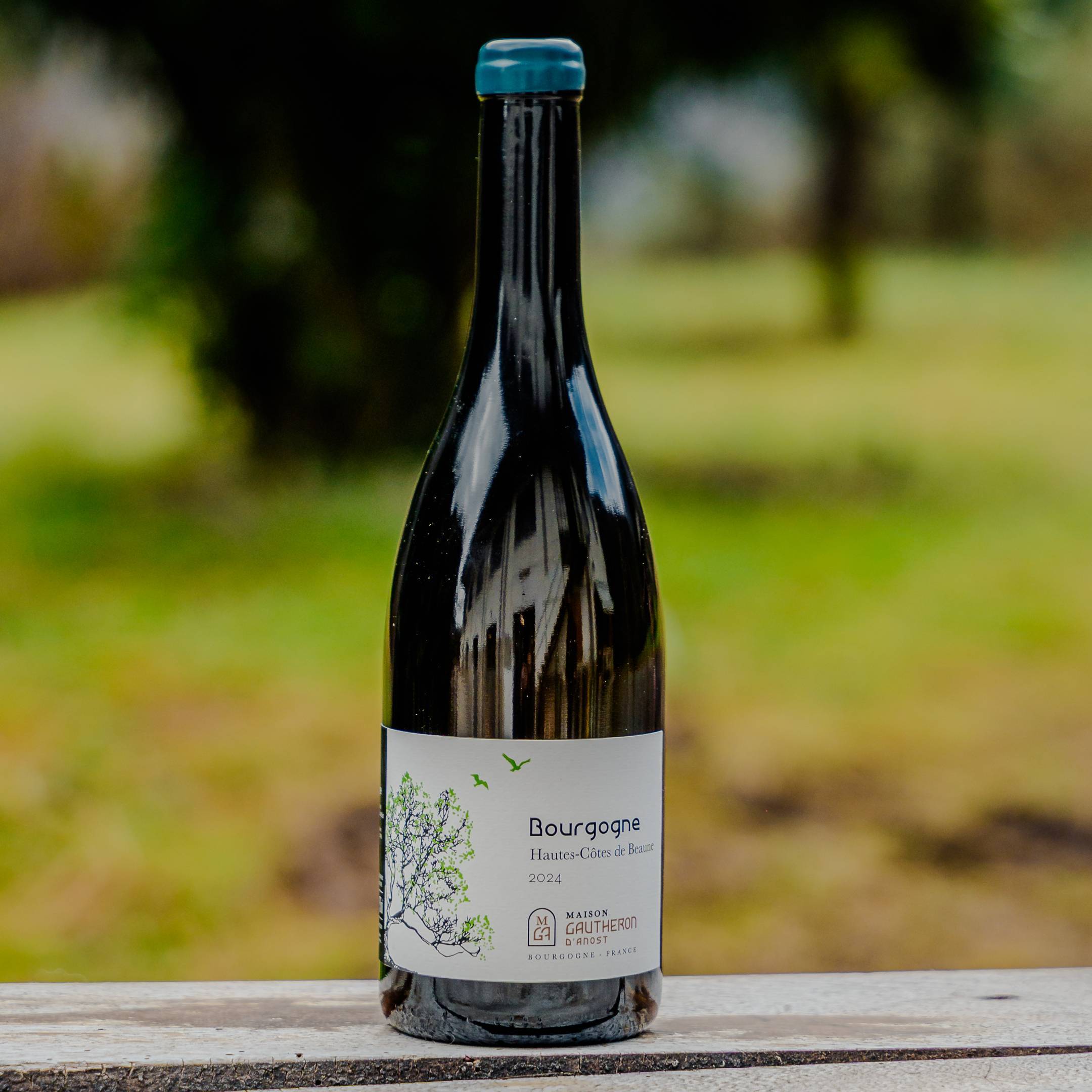 Gautheron d'Anost Bourgogne Hautes Côtes de Beaune