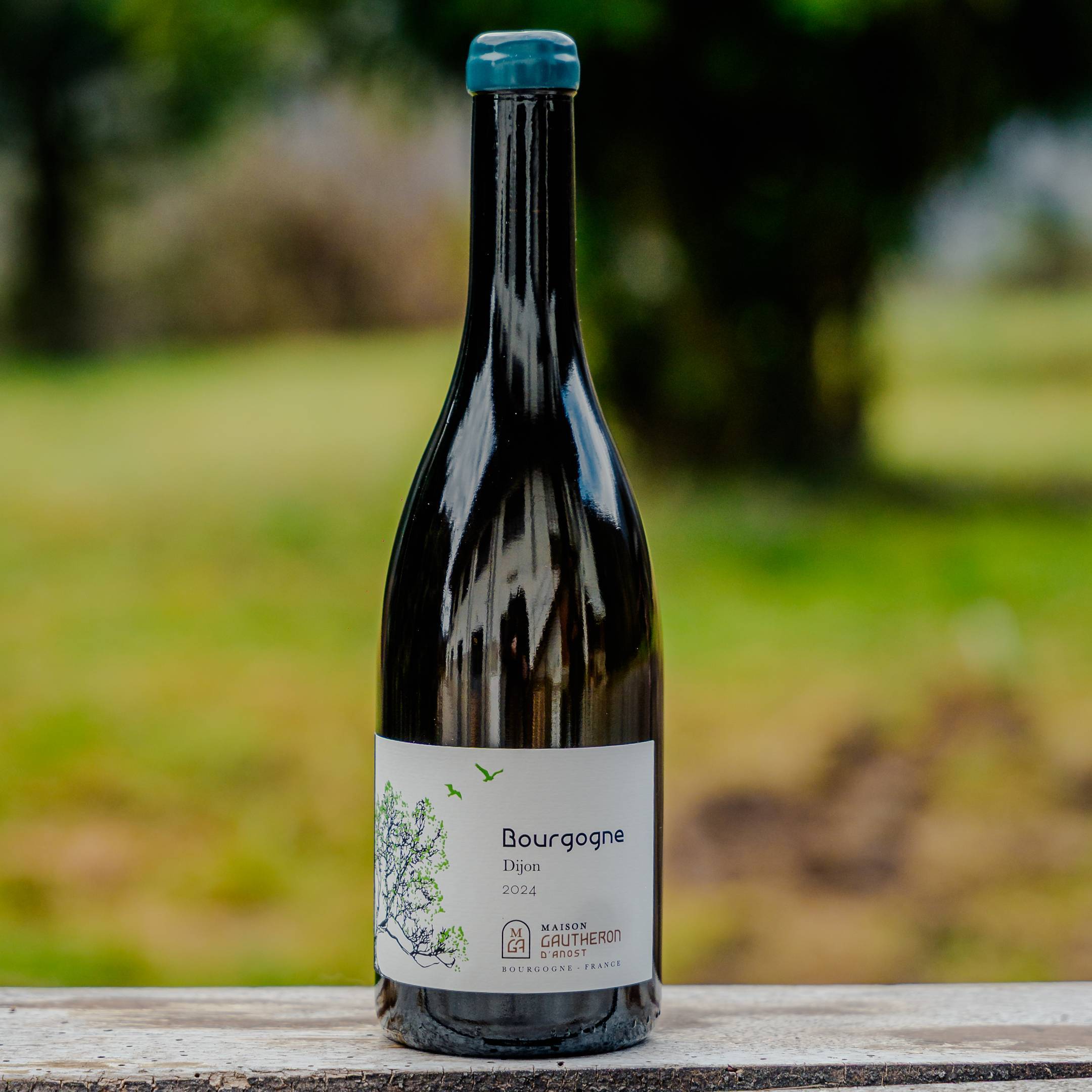 Gautheron d'Anost Bourgogne Dijon