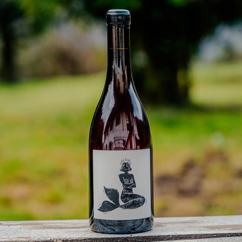 Gueule d'Amour Bourgogne Pinot Noir