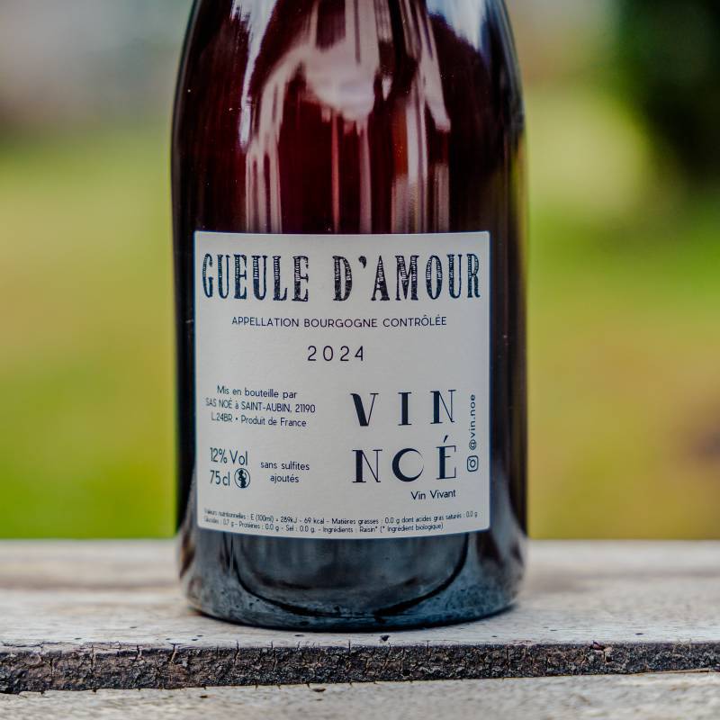 Vin Noé Gueule d'Amour Bourgogne Pinot Noir