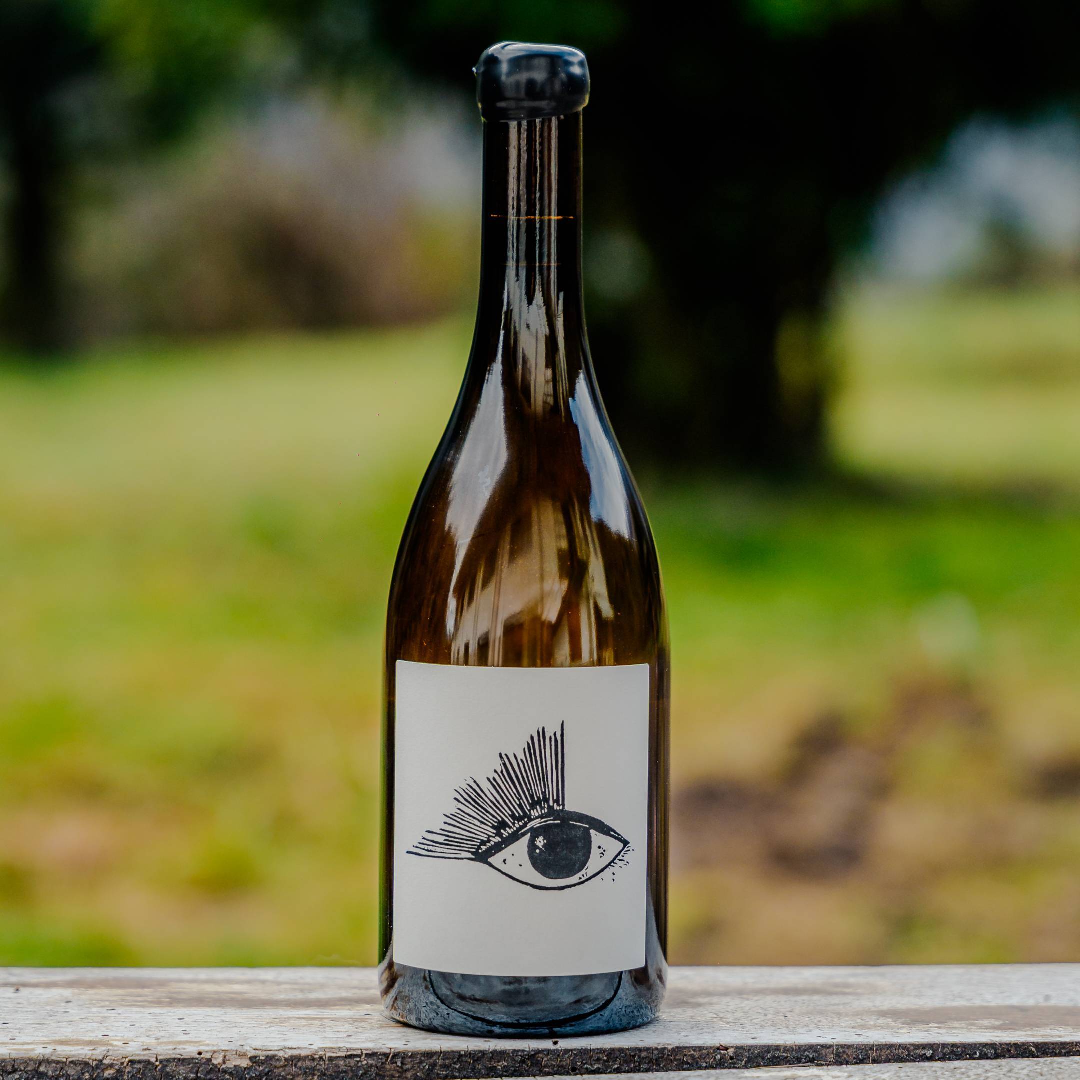 Vin Noé Alibi #5 Bourgogne Aligote