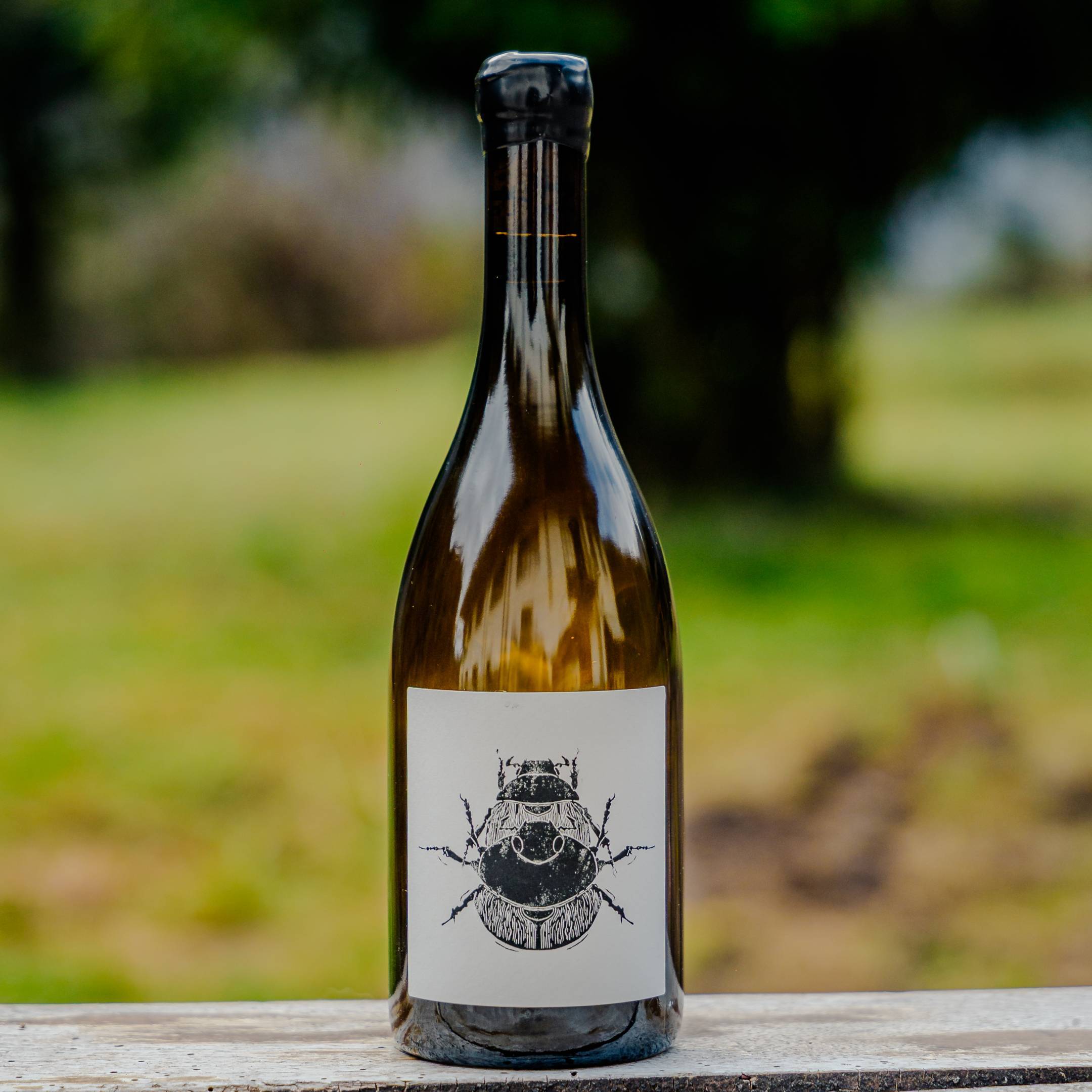 Vin Noé Superposition Puligny-Montrachet Le Trezin