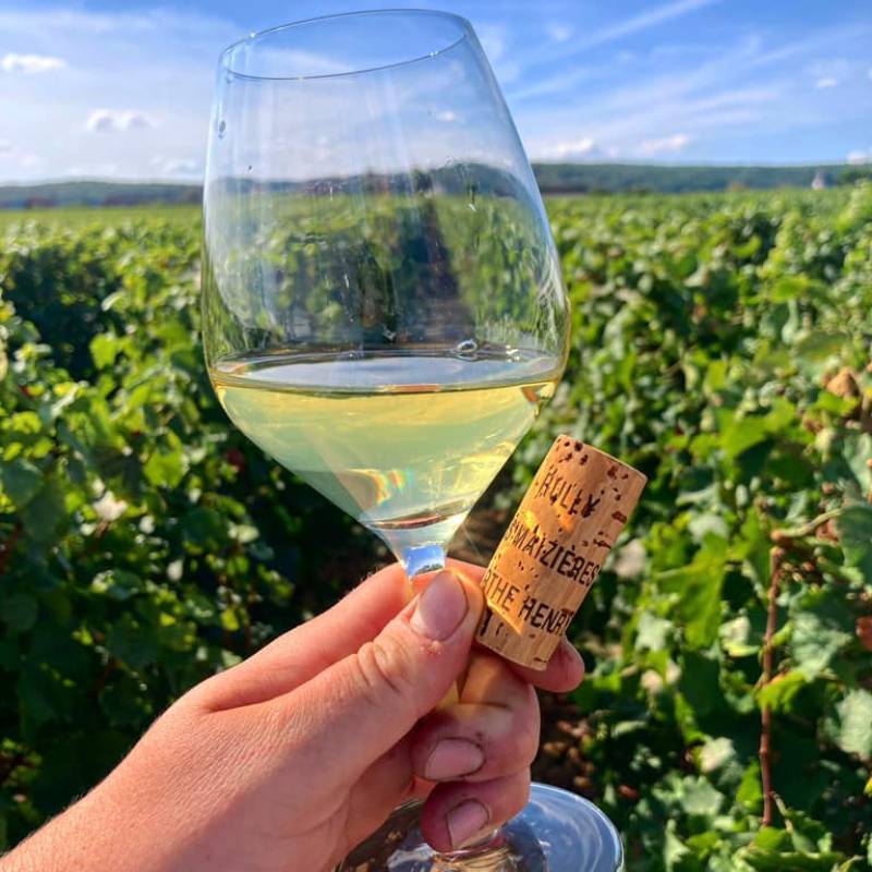 Marthe Henry Hautes Cote De Beaune Chardonnay