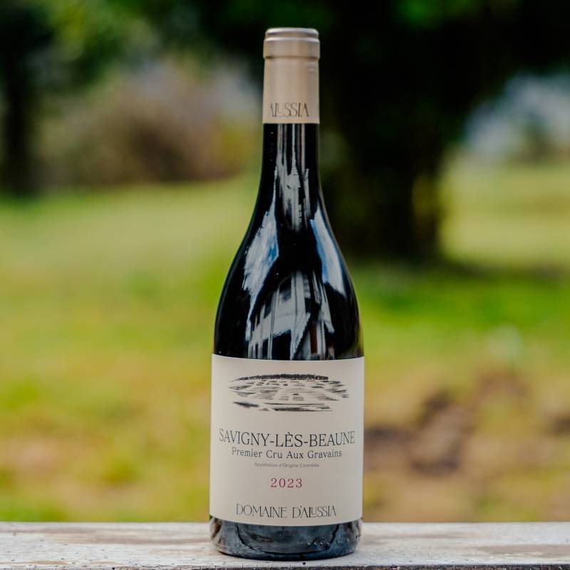 Savigny les Beaune 1er Cru Aux Gravains