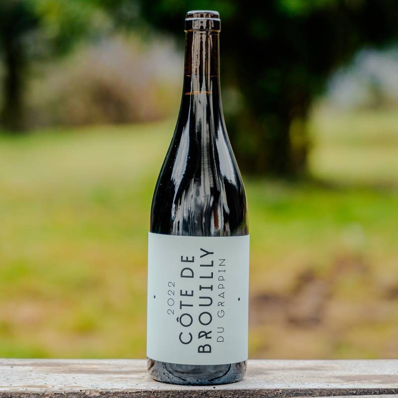 Côte de Brouilly 2022