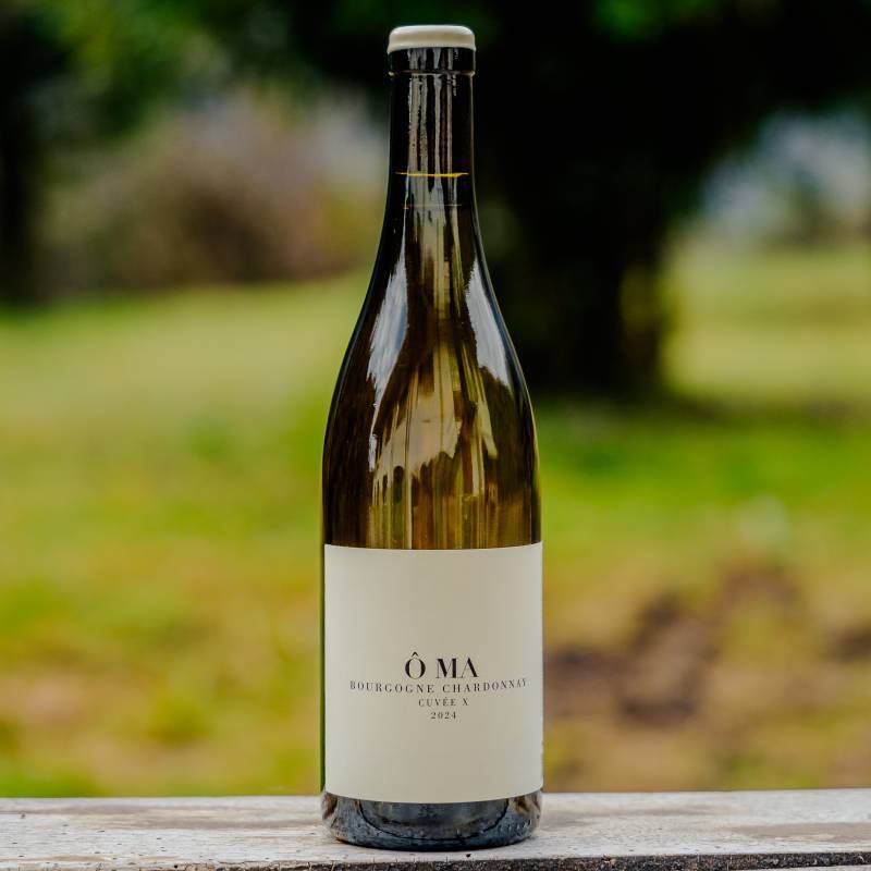 Bourgogne Chardonnay Cuvee X