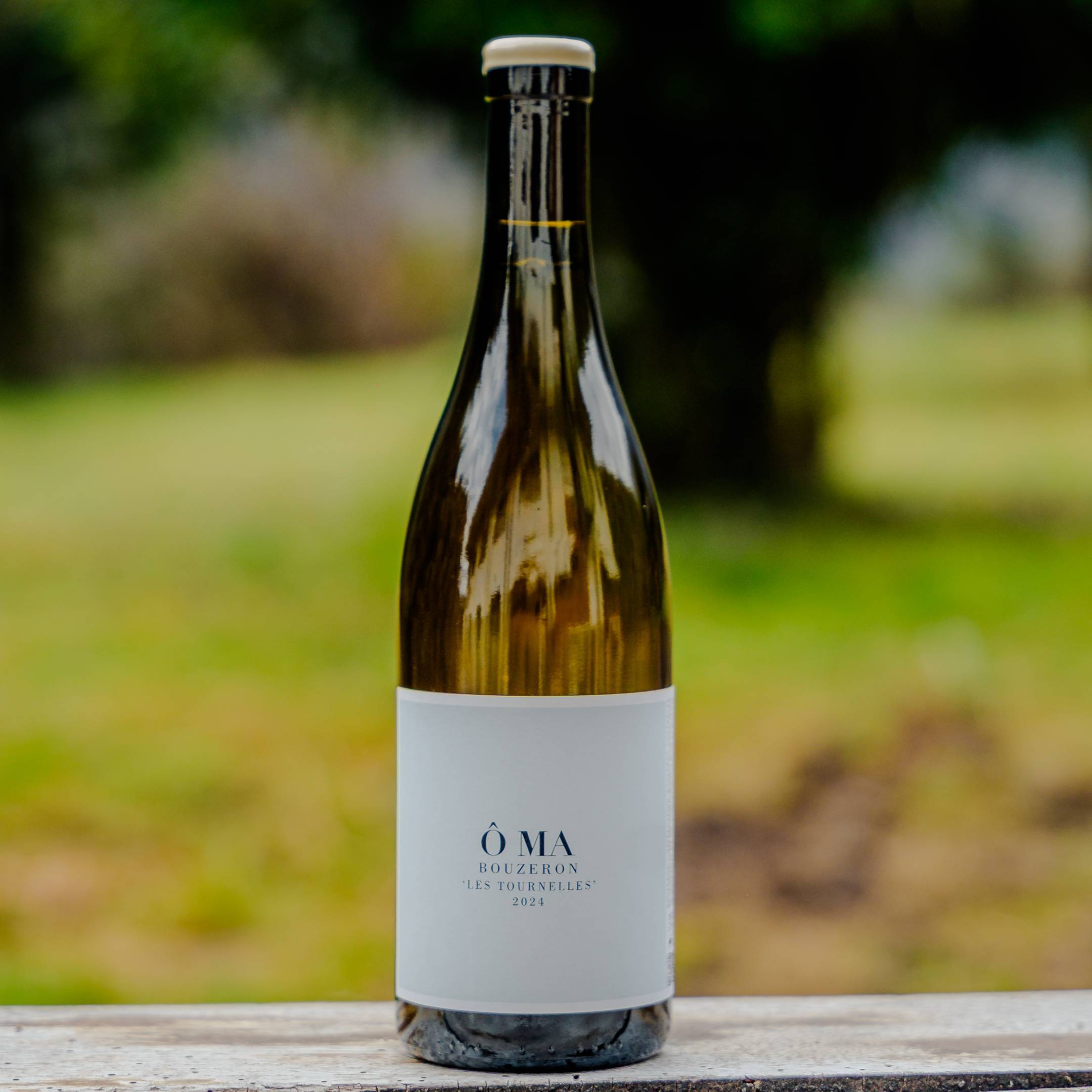 OMA Santenay Bouzeron Les Tournelles