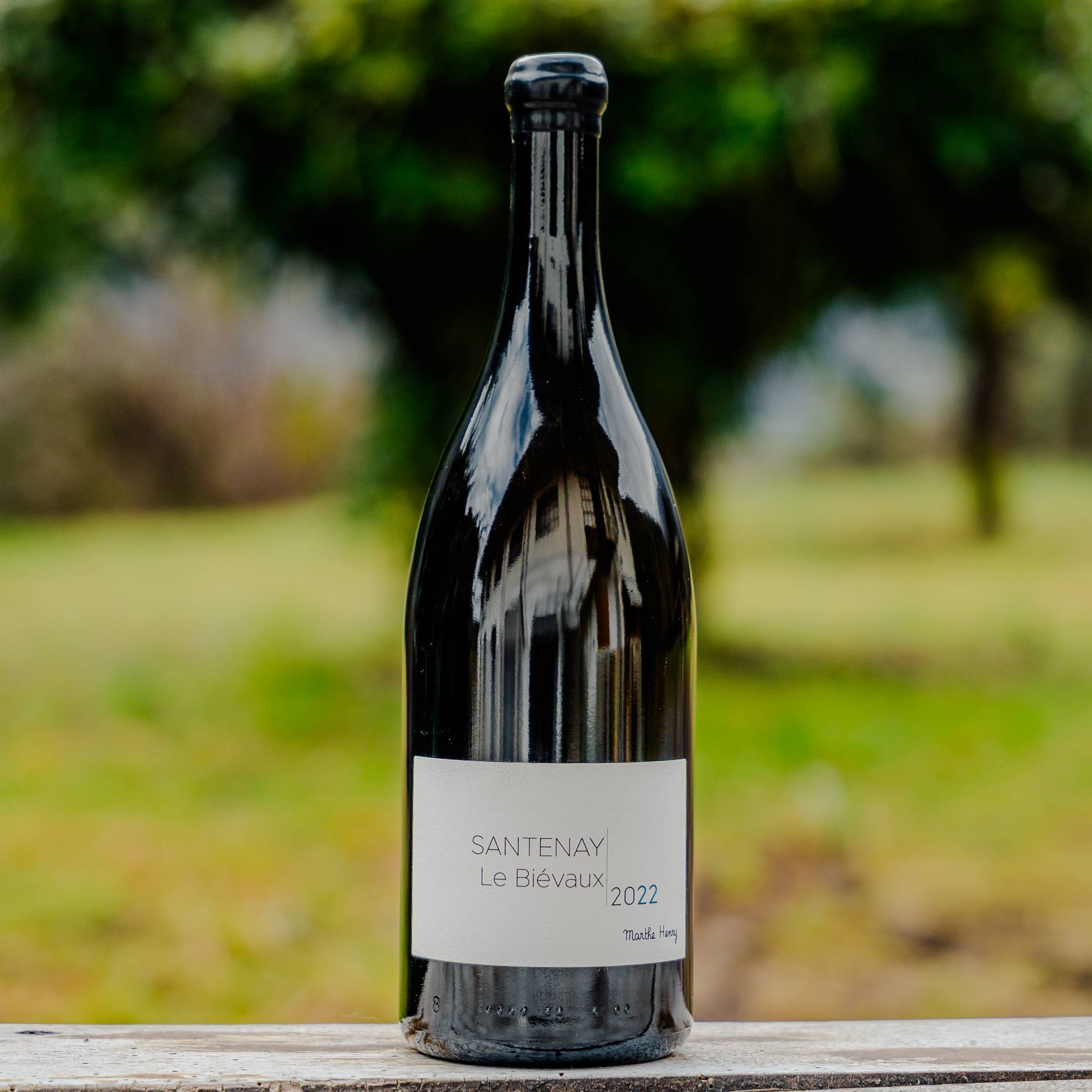 Marthe Henry Santenay le Bievaux Magnum