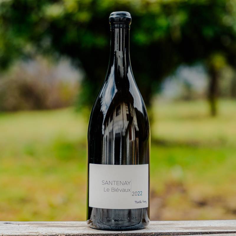 Santenay le Bievaux Magnum