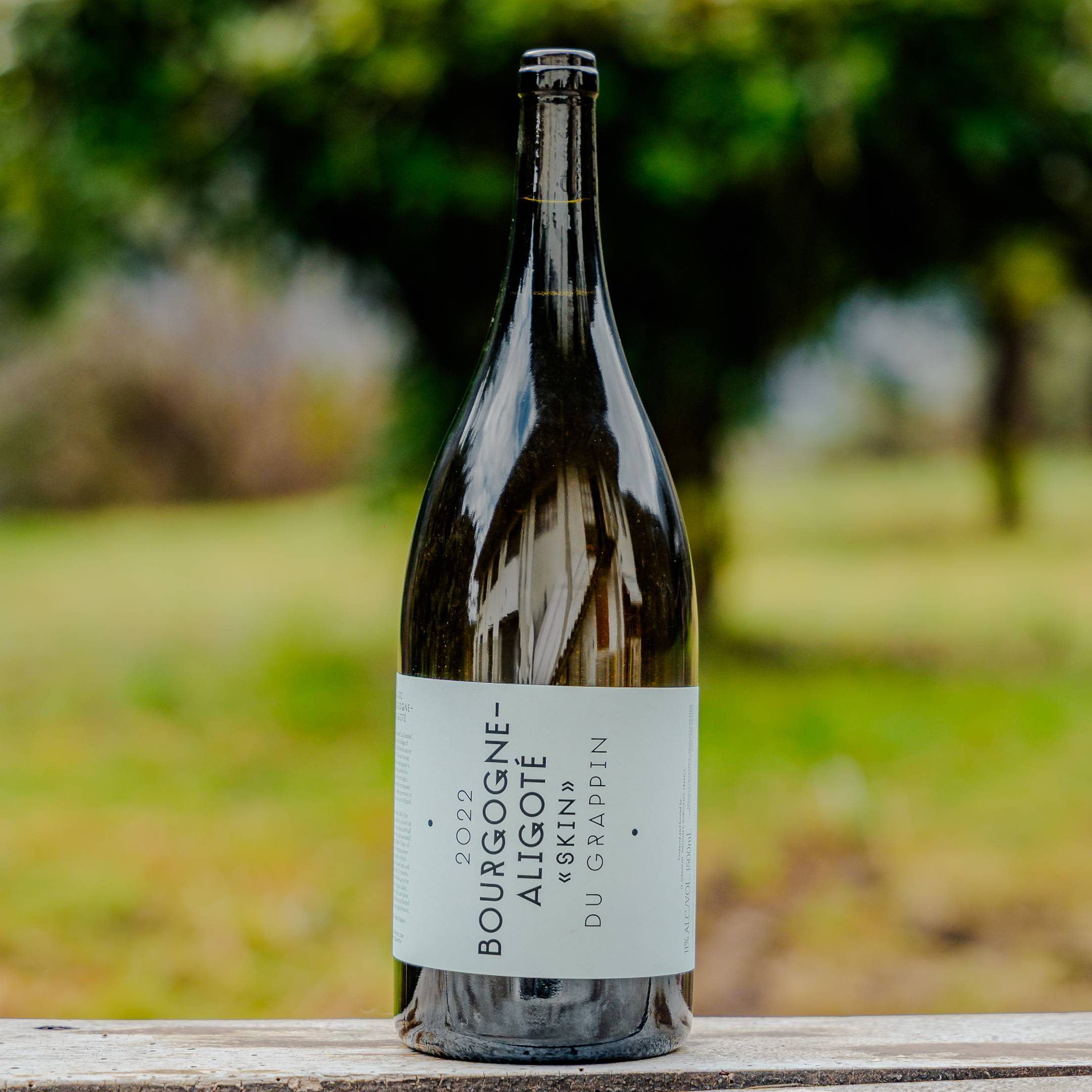 Le Grappin Bourgogne Aligoté SKIN