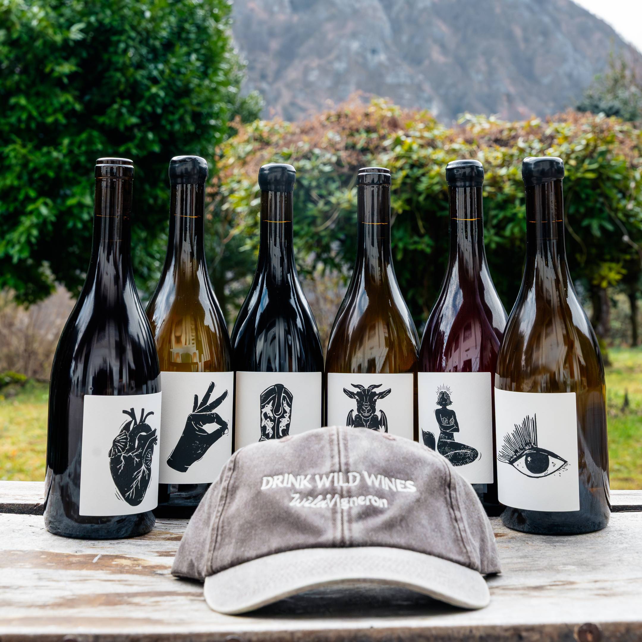 Vin Noé Vin Noe Tasting Box