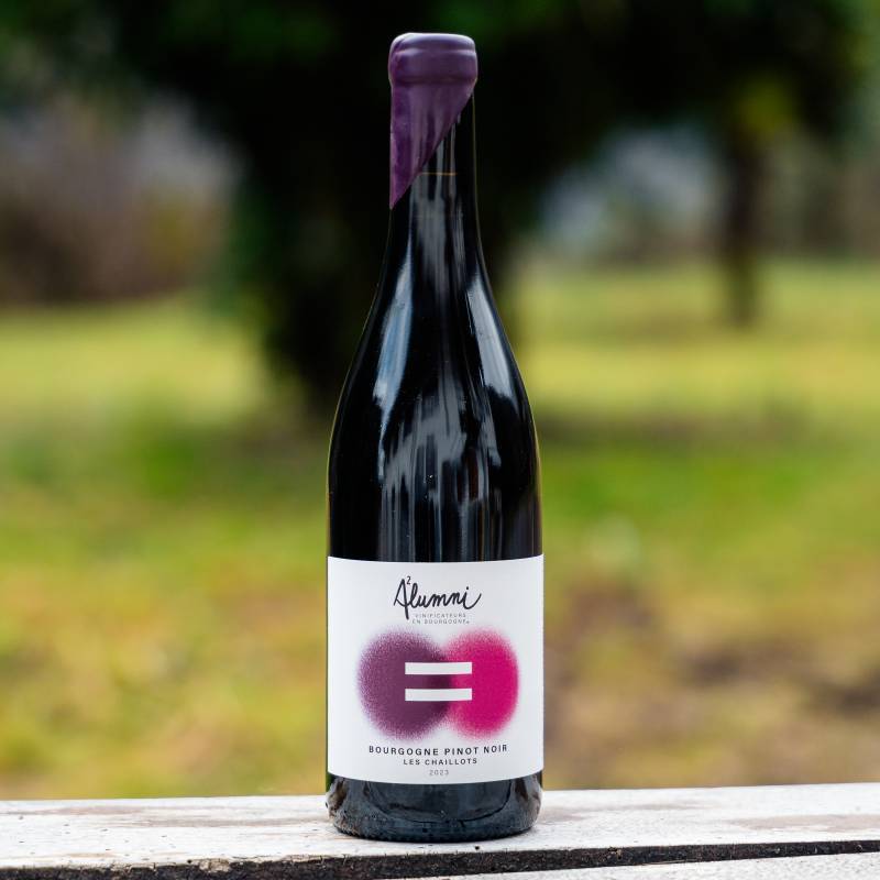 Bourgogne Pinot Noir Les Chaillots