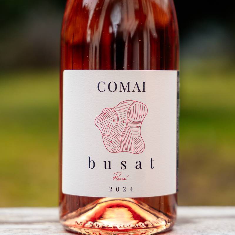 Comai Busat Rose
