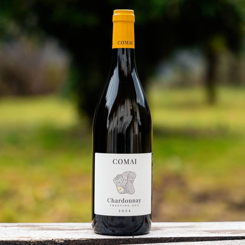 Chardonnay