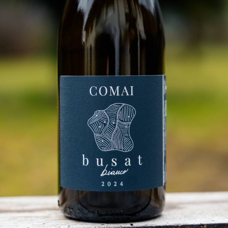 Comai Busat Bianco