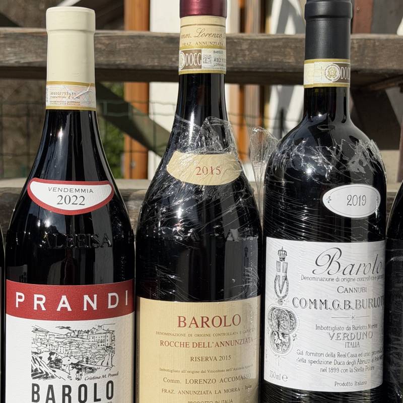 Nebbiolo: Il filo Invisibile tra le rocce della Valtellina e le nebbie di Langa