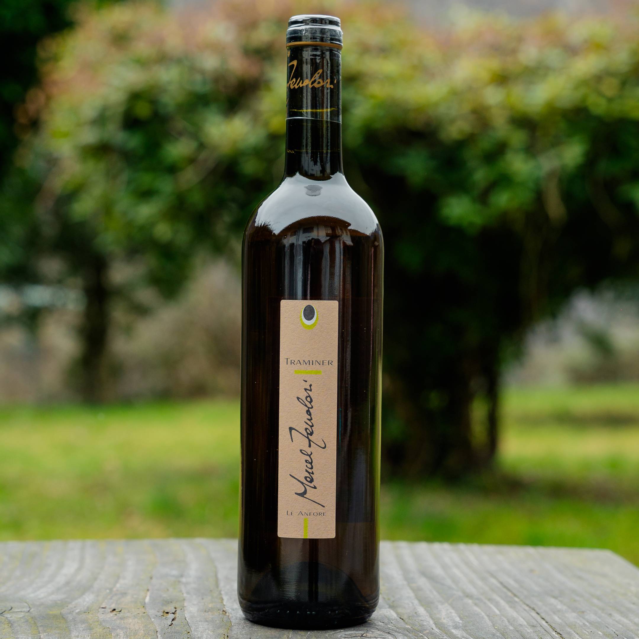 Marcel Zanolari Traminer  Le Anfore
