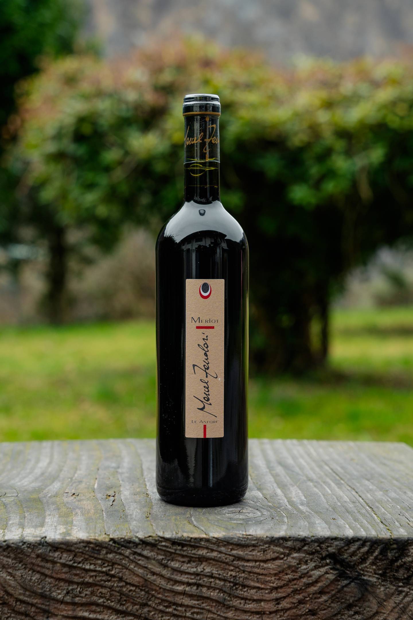 Marcel Zanolari Merlot Montano Anfora