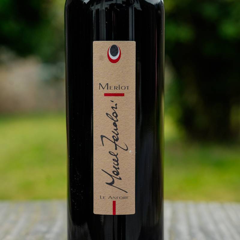 Marcel Zanolari Merlot Montano Anfora