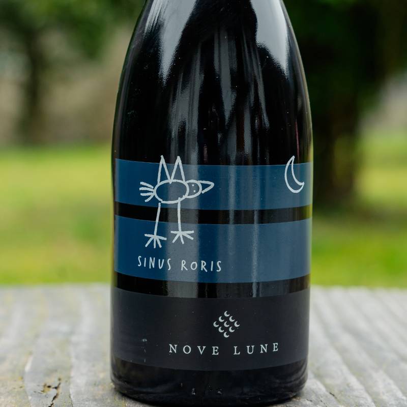 Nove Lune Sinus Roris