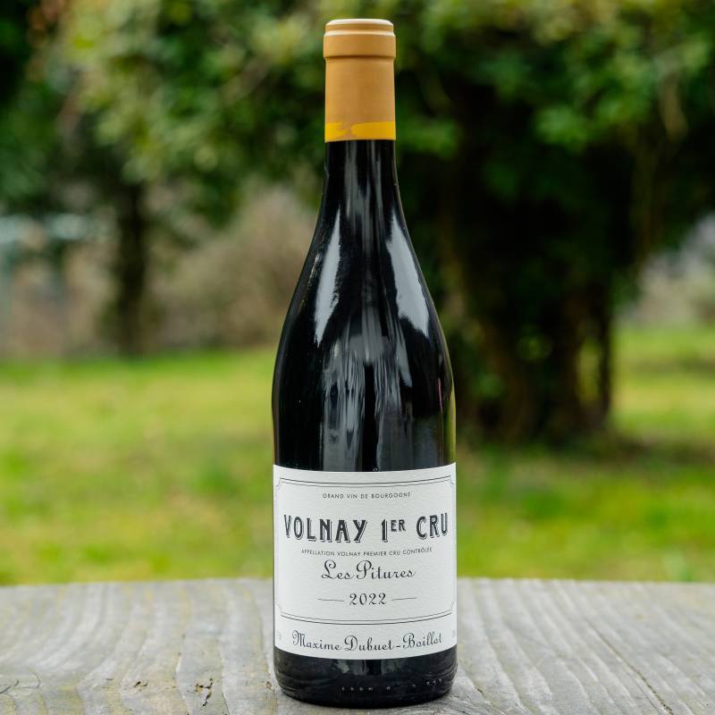 Volnay 1er Cru - Les Pitures