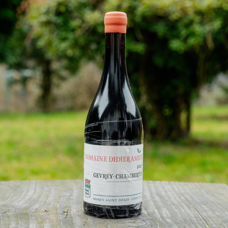 Gevrey Chambertin 2021