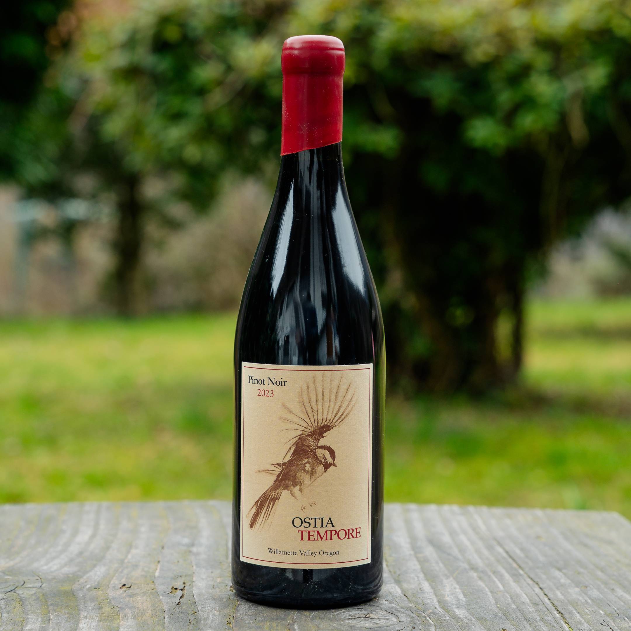 Ostia Tempore Pinot Noir Willamette Valley 2023