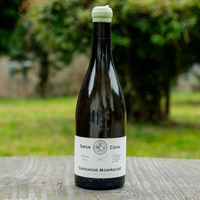Chassagne Montrachet Blanc